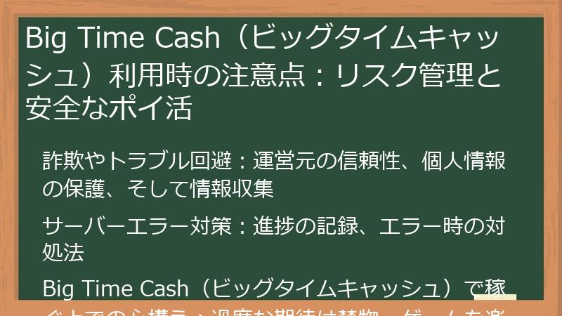 Big Time Cash（ビッグタイムキャッシュ）利用時の注意点：リスク管理と安全なポイ活