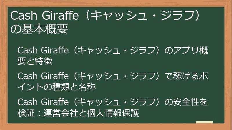 Cash Giraffe（キャッシュ・ジラフ）の基本概要