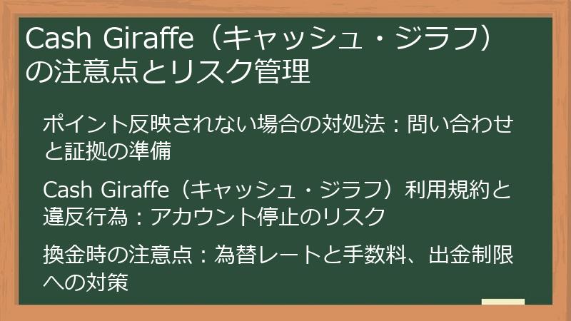 Cash Giraffe（キャッシュ・ジラフ）の注意点とリスク管理