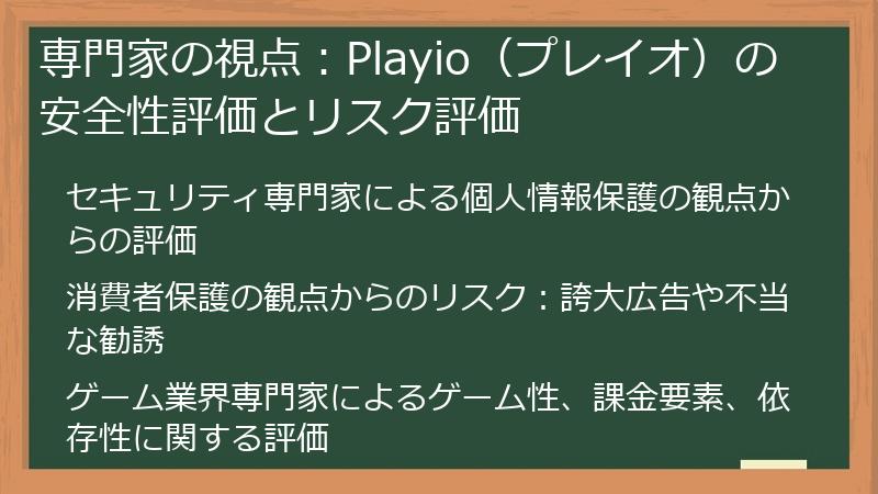 専門家の視点：Playio（プレイオ）の安全性評価とリスク評価