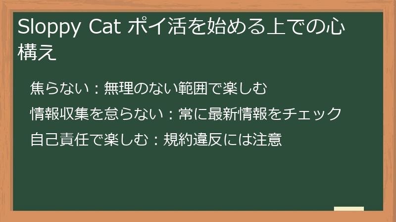 Sloppy Cat ポイ活を始める上での心構え