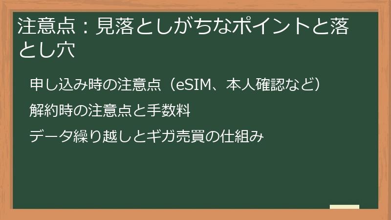 注意点：見落としがちなポイントと落とし穴