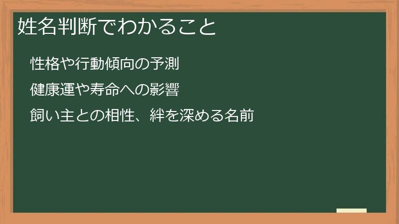 姓名判断でわかること