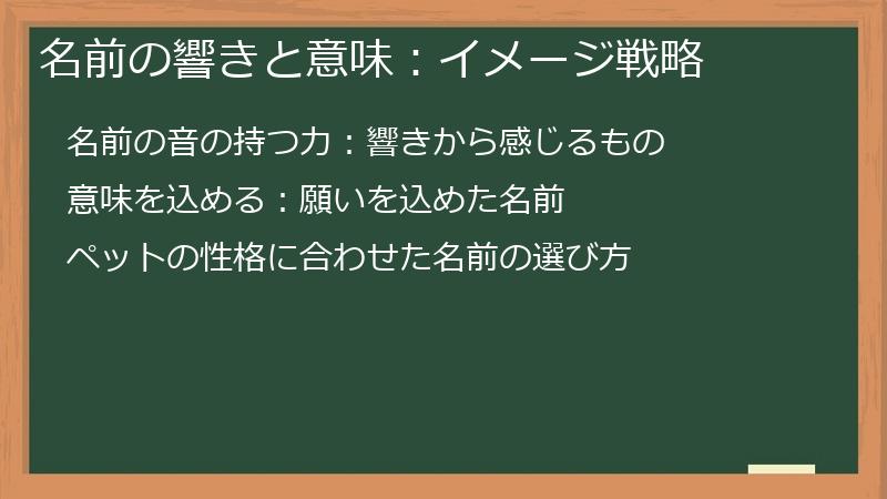 名前の響きと意味：イメージ戦略
