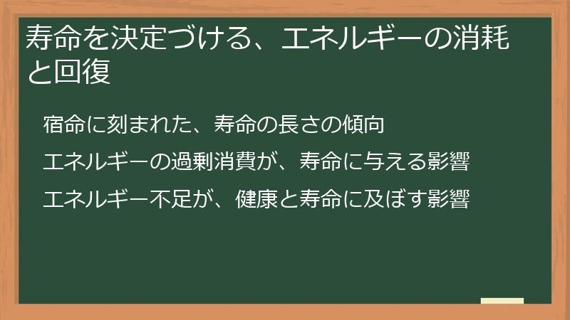 寿命を決定づける、エネルギーの消耗と回復