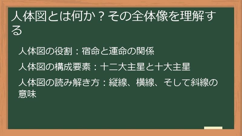 人体図とは何か？その全体像を理解する