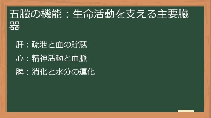 五臓の機能：生命活動を支える主要臓器