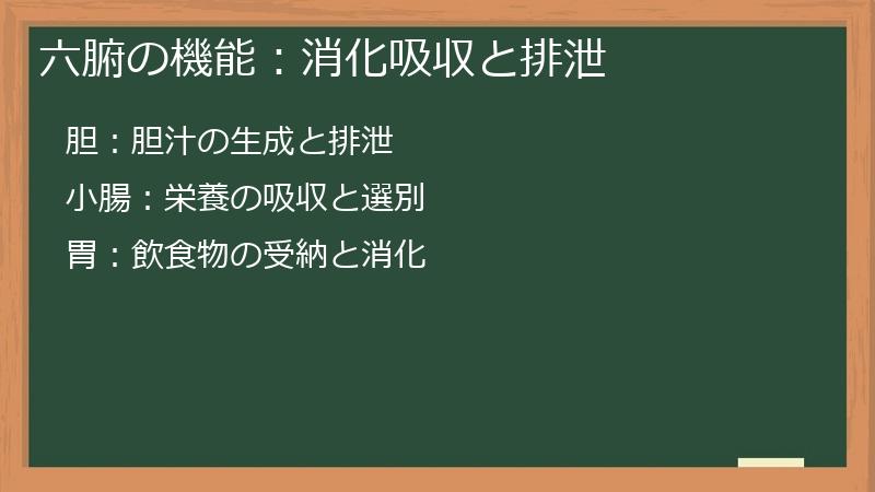六腑の機能：消化吸収と排泄