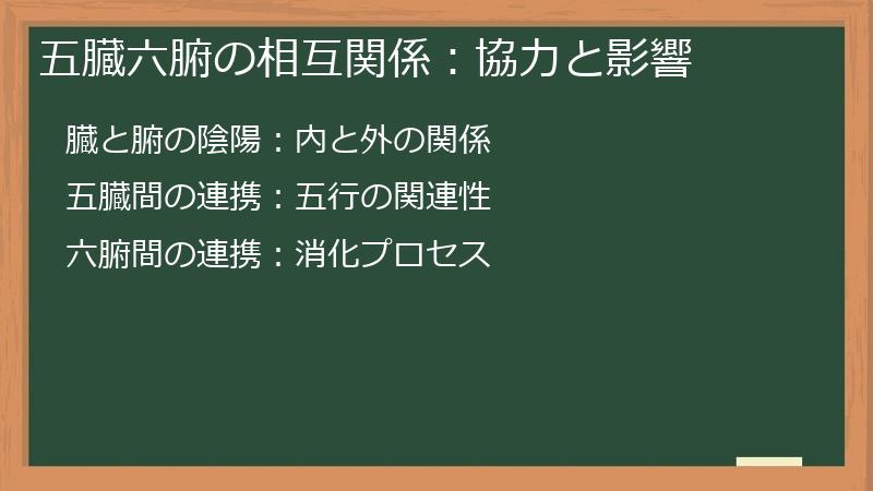 五臓六腑の相互関係：協力と影響