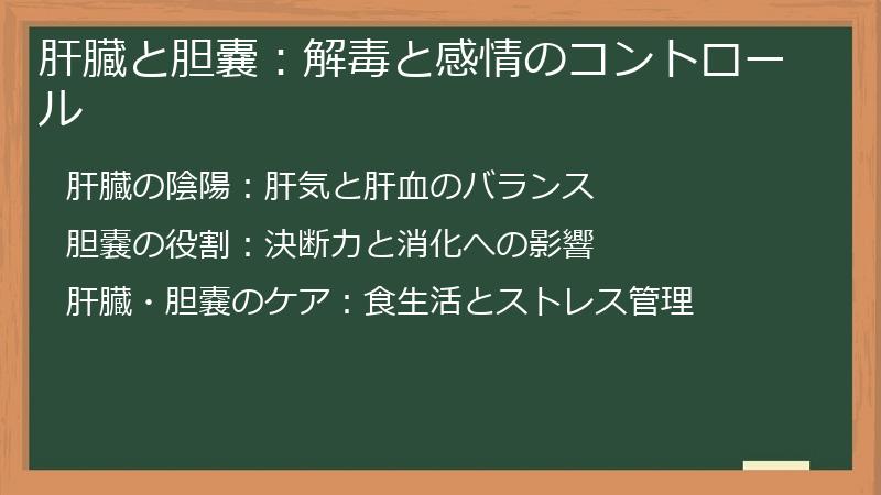 肝臓と胆嚢：解毒と感情のコントロール