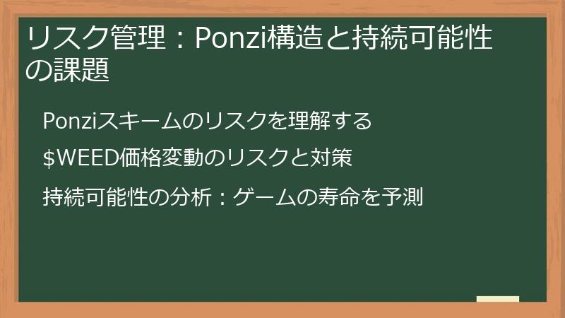 リスク管理：Ponzi構造と持続可能性の課題