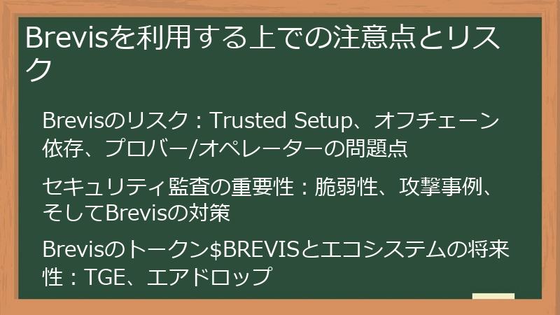 Brevisを利用する上での注意点とリスク