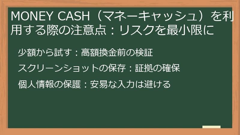 MONEY CASH（マネーキャッシュ）を利用する際の注意点：リスクを最小限に