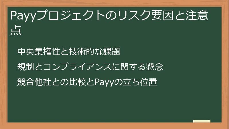Payyプロジェクトのリスク要因と注意点