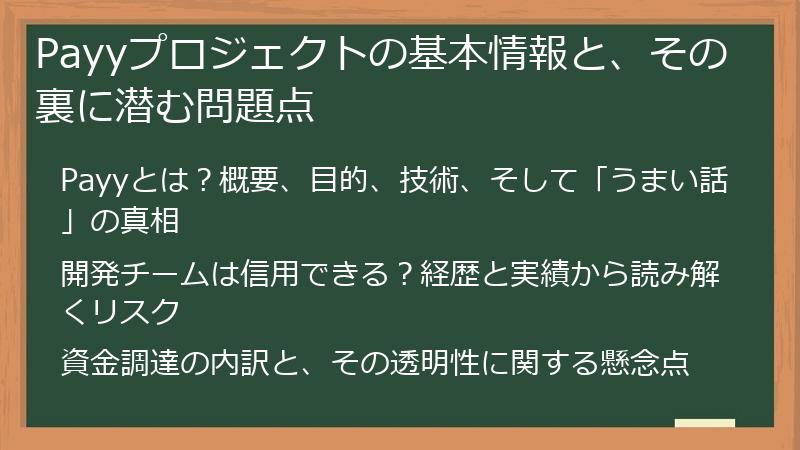 Payyプロジェクトの基本情報と、その裏に潜む問題点