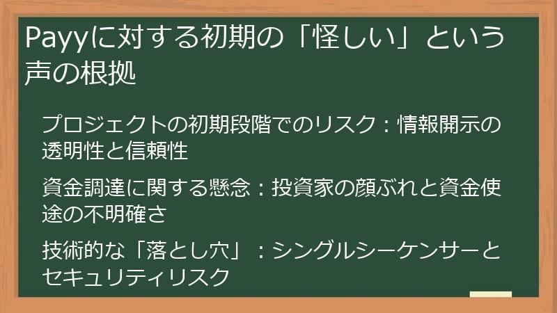 Payyに対する初期の「怪しい」という声の根拠