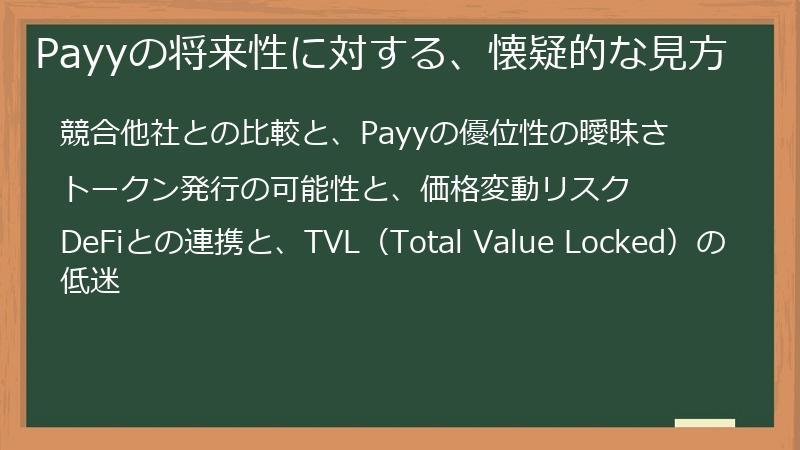 Payyの将来性に対する、懐疑的な見方