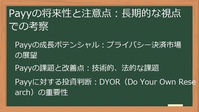 Payyの将来性と注意点：長期的な視点での考察
