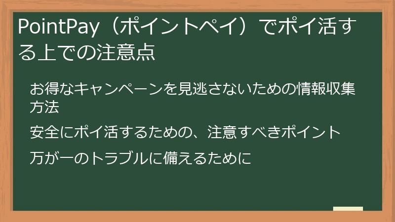 PointPay（ポイントペイ）でポイ活する上での注意点