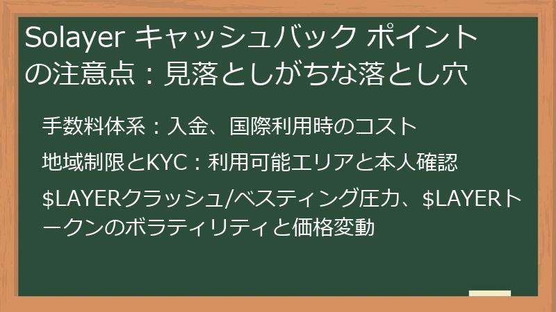 Solayer キャッシュバック ポイントの注意点：見落としがちな落とし穴