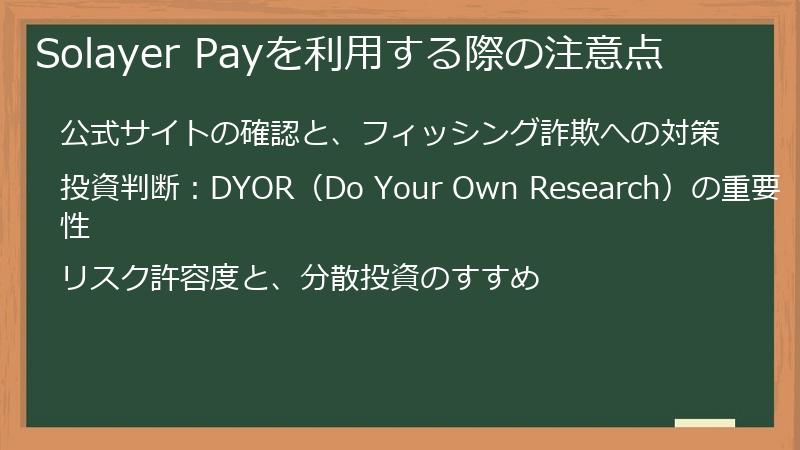 Solayer Payを利用する際の注意点