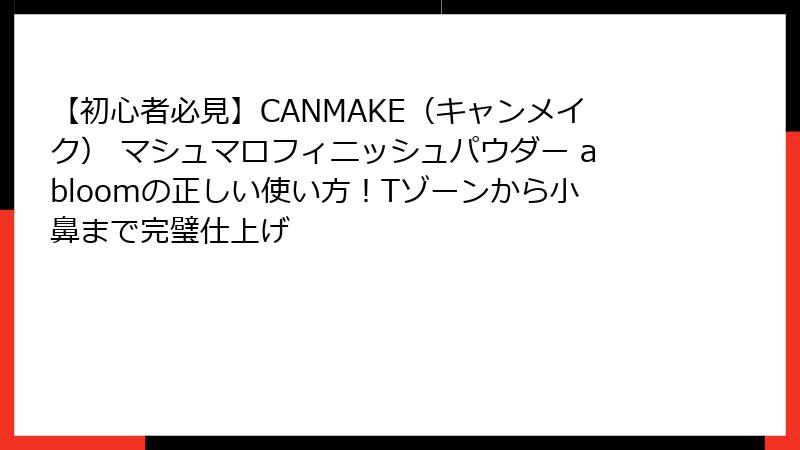 【初心者必見】CANMAKE（キャンメイク） マシュマロフィニッシュパウダー abloomの正しい使い方！Tゾーンから小鼻まで完璧仕上げ