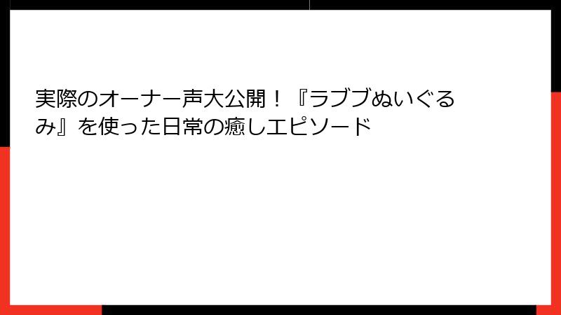 実際のオーナー声大公開！『ラブブぬいぐるみ』を使った日常の癒しエピソード