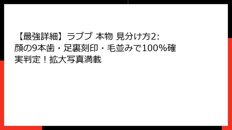 【最強詳細】ラブブ 本物 見分け方2: 顔の9本歯・足裏刻印・毛並みで100%確実判定！拡大写真満載