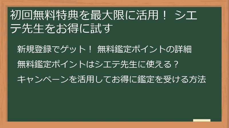 初回無料特典を最大限に活用！ シエテ先生をお得に試す