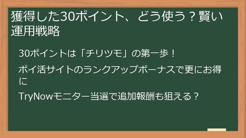 獲得した30ポイント、どう使う？賢い運用戦略