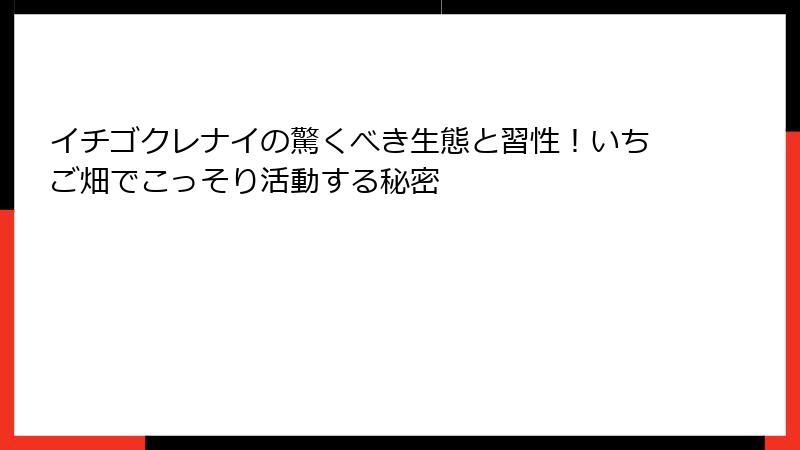 イチゴクレナイの驚くべき生態と習性！いちご畑でこっそり活動する秘密