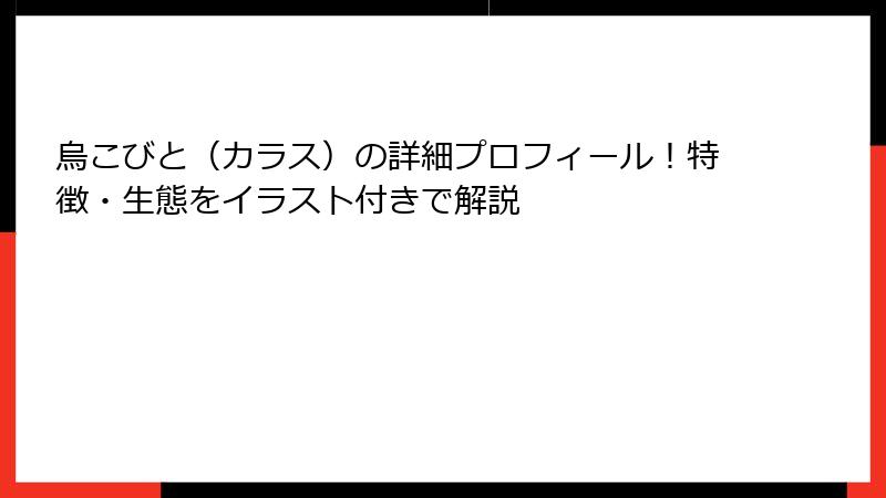 烏こびと(カラス)の詳細プロフィール!特徴・生態をイラスト付きで解説