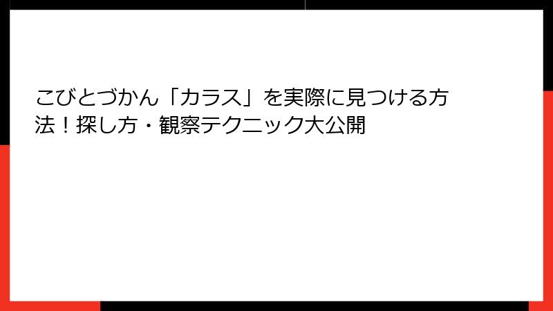 こびとづかん「カラス」を実際に見つける方法!探し方・観察テクニック大公開