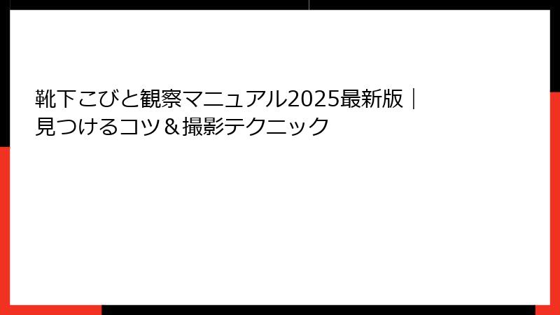 靴下こびと観察マニュアル2025最新版｜見つけるコツ＆撮影テクニック