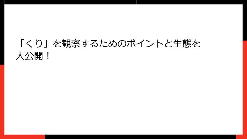 「くり」を観察するためのポイントと生態を大公開！