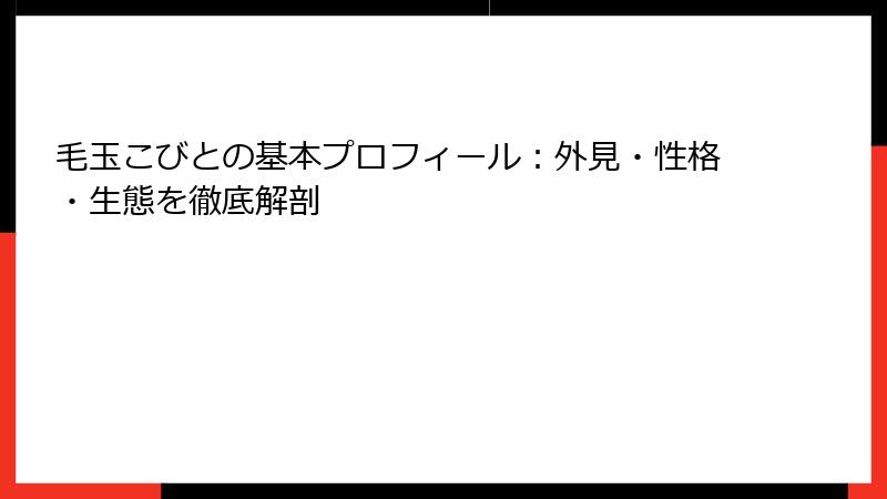 毛玉こびとの基本プロフィール：外見・性格・生態を徹底解剖