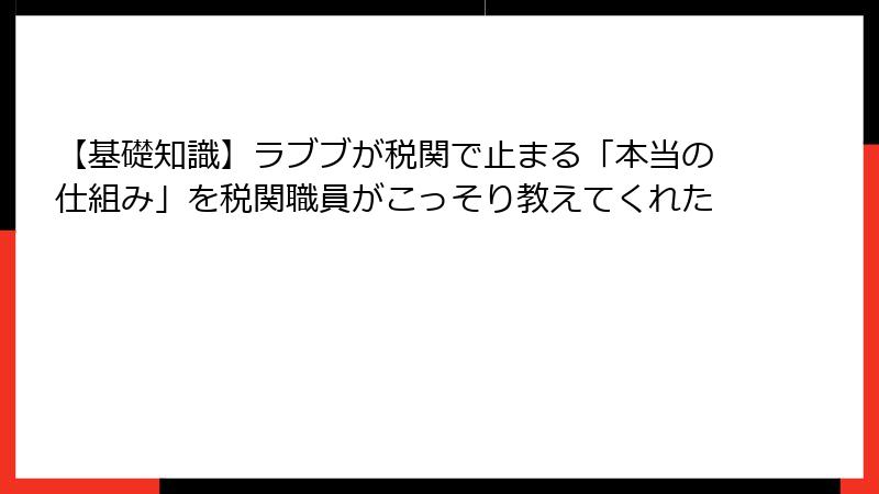 【基礎知識】ラブブが税関で止まる「本当の仕組み」を税関職員がこっそり教えてくれた