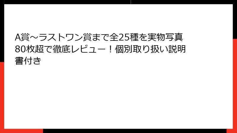 A賞～ラストワン賞まで全25種を実物写真80枚超で徹底レビュー！個別取り扱い説明書付き