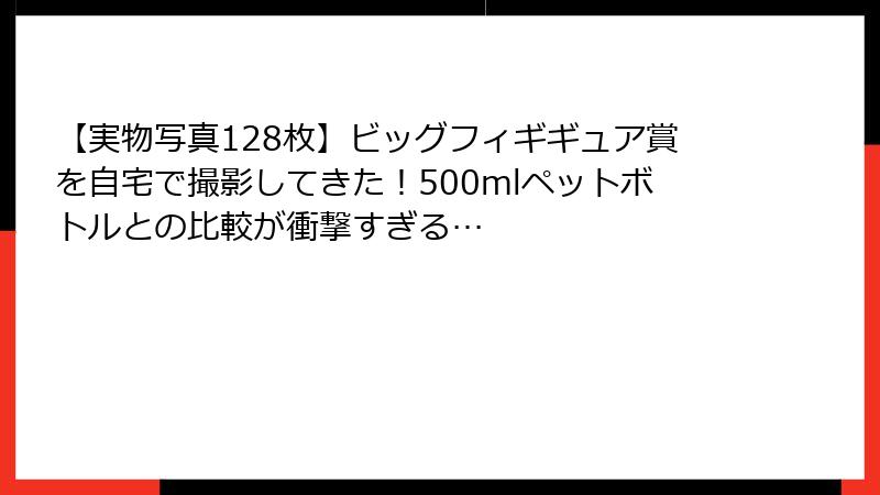 【実物写真128枚】ビッグフィギギュア賞を自宅で撮影してきた！500mlペットボトルとの比較が衝撃すぎる…