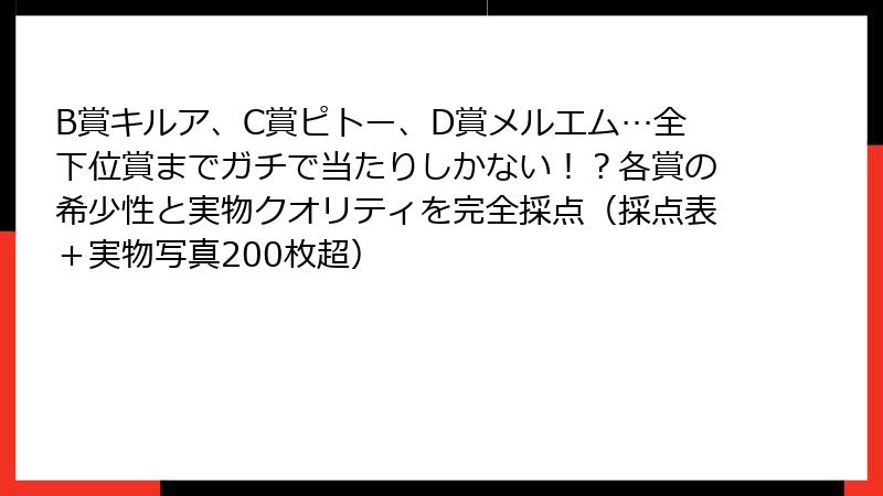 B賞キルア、C賞ピトー、D賞メルエム…全下位賞までガチで当たりしかない！？各賞の希少性と実物クオリティを完全採点（採点表＋実物写真200枚超）