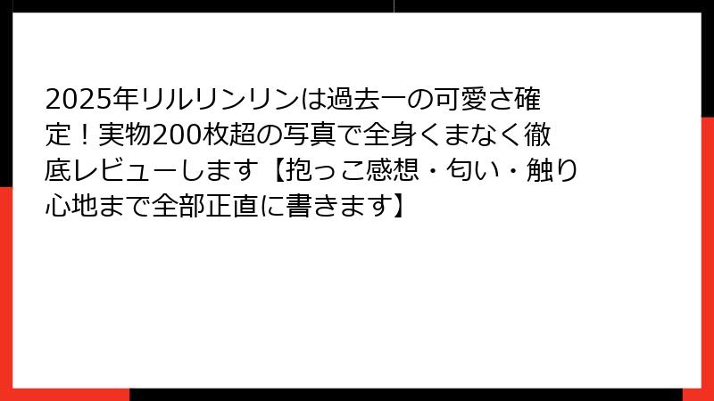 2025年リルリンリンは過去一の可愛さ確定！実物200枚超の写真で全身くまなく徹底レビューします【抱っこ感想・匂い・触り心地まで全部正直に書きます】
