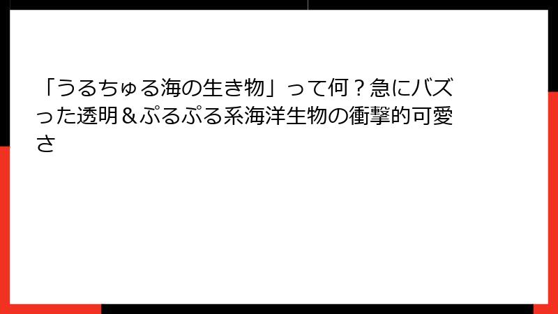 「うるちゅる海の生き物」って何？急にバズった透明＆ぷるぷる系海洋生物の衝撃的可愛さ