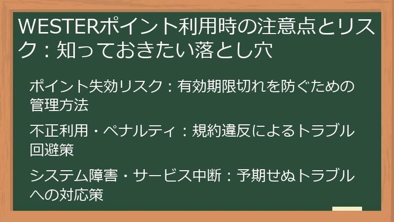WESTERポイント利用時の注意点とリスク：知っておきたい落とし穴
