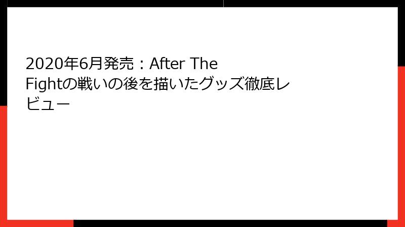 2020年6月発売：After The Fightの戦いの後を描いたグッズ徹底レビュー