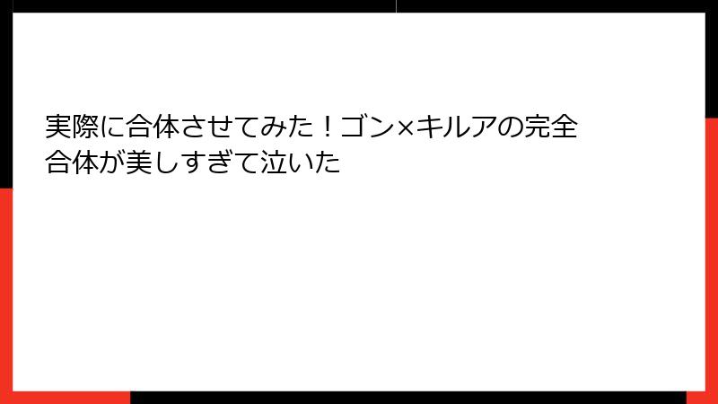 実際に合体させてみた！ゴン×キルアの完全合体が美しすぎて泣いた