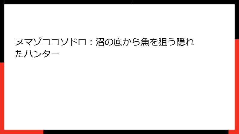 ヌマゾココソドロ：沼の底から魚を狙う隠れたハンター