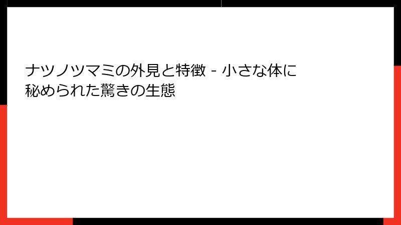 ナツノツマミの外見と特徴 - 小さな体に秘められた驚きの生態