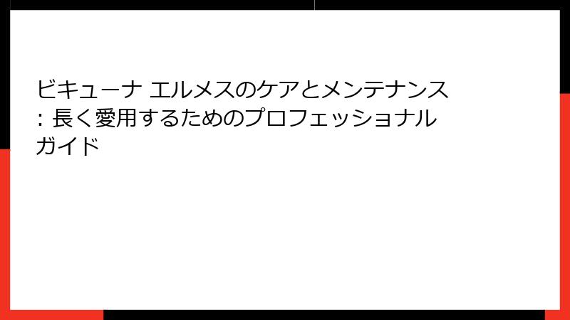 ビキューナ エルメスのケアとメンテナンス: 長く愛用するためのプロフェッショナルガイド