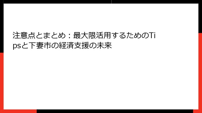 注意点とまとめ:最大限活用するためのTipsと下妻市の経済支援の未来