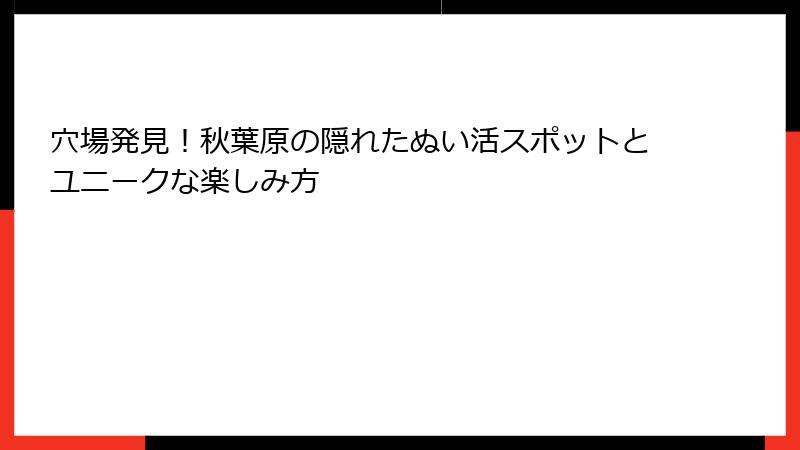 穴場発見！秋葉原の隠れたぬい活スポットとユニークな楽しみ方